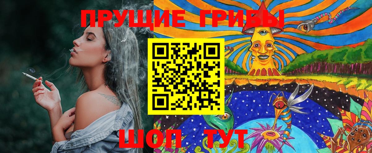 Псилоцибиновые грибы GOLDEN TEACHER Подольск