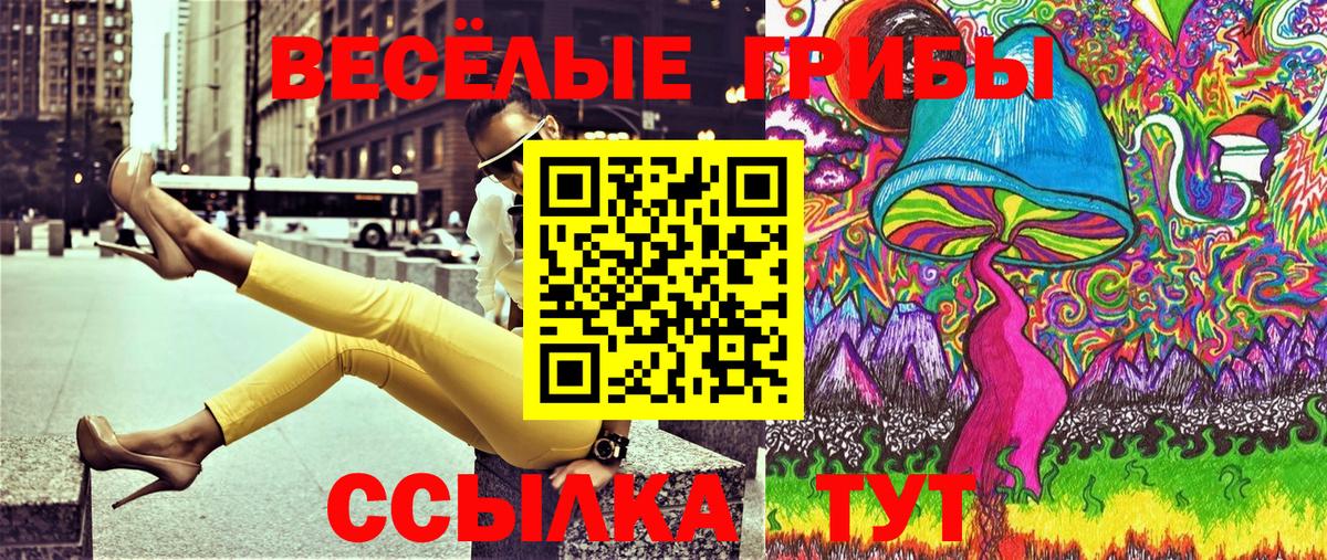 Подольск  даркнет сайт  Вход с VPN  Псилоцибиновые грибы мицелий  Галлюциногенные грибы прущие грибы 